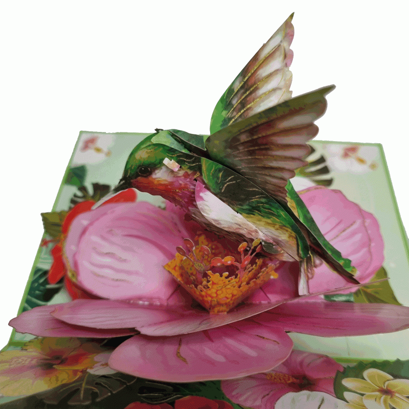 Pop-up groene kolibrie kaart